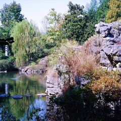 绘璟轩·断云幽梦(沈园店) User Photo