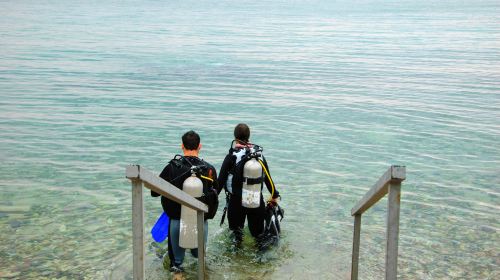 Eilat Coral Beach Nature Reserve