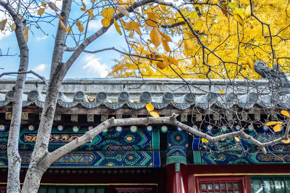 4_Tanzhe Temple