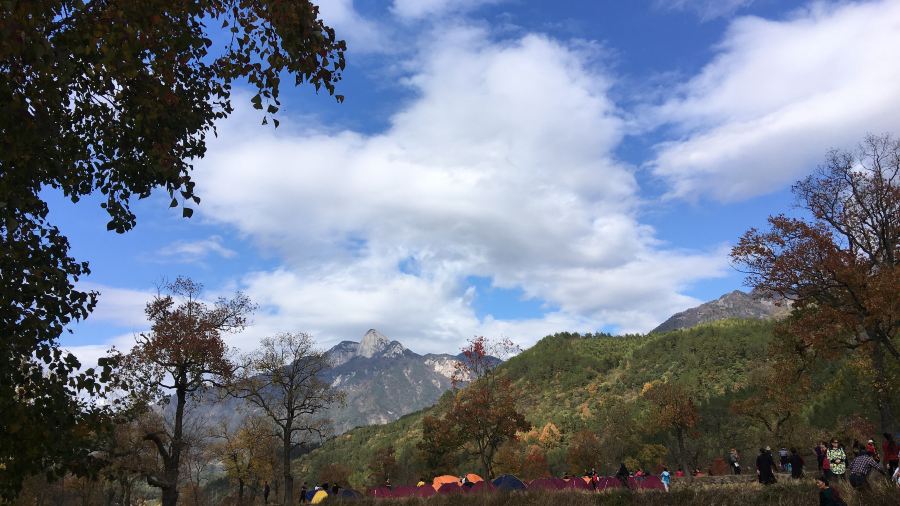 LUO TIAN BAO DAO FENG SHAN LI GONG NONG GU CAI GUAN