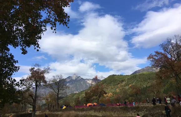 山裡紅農家菜館（薄刀峯店）