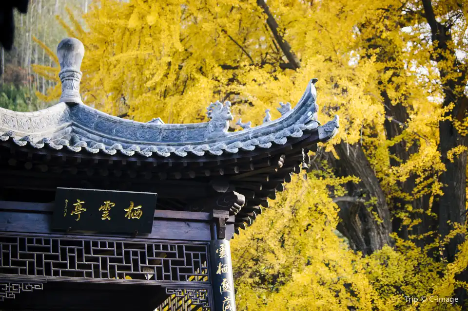 4_Ancient Guanyin Temple