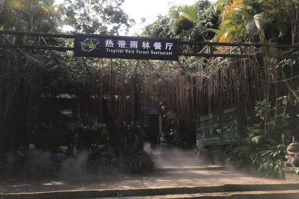 呀诺达药膳自助餐