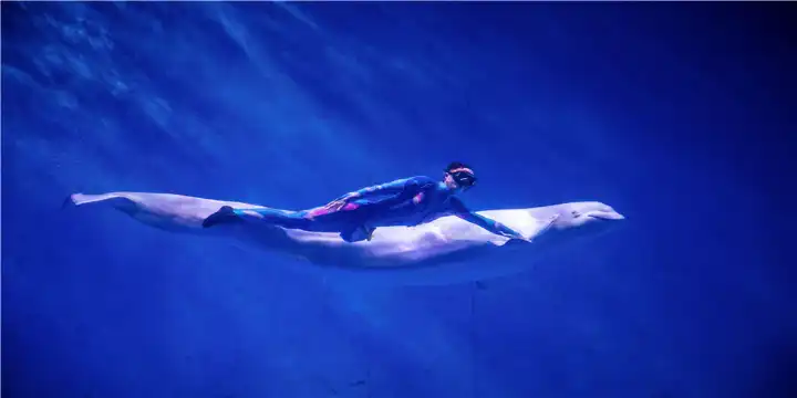 鄰近蕪湖新華聯大白鯨海洋公園的酒店