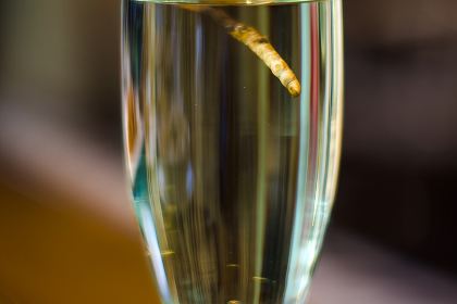 Shalihai Catering Food City