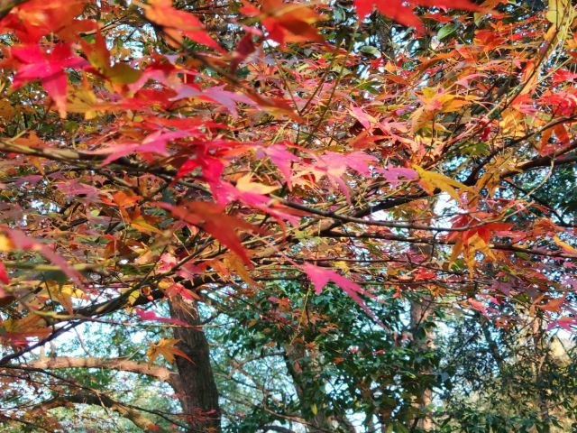 太子灣公園