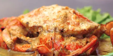 Pangkep 33（Pluit）