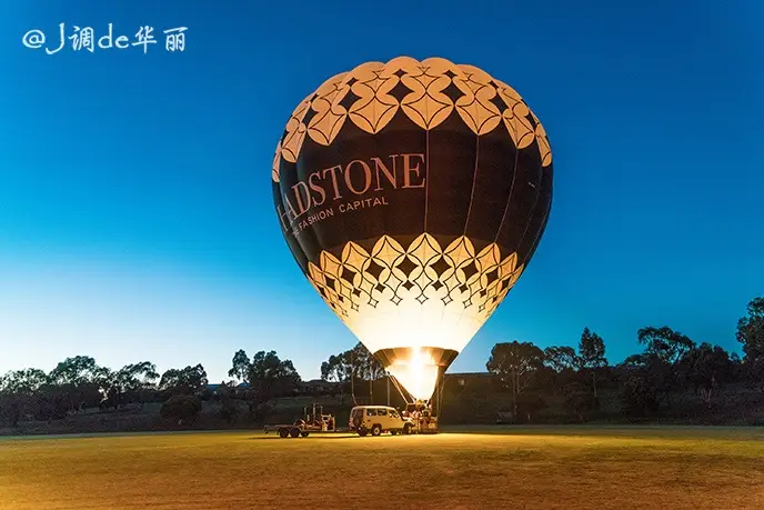 Go Wild Ballooning