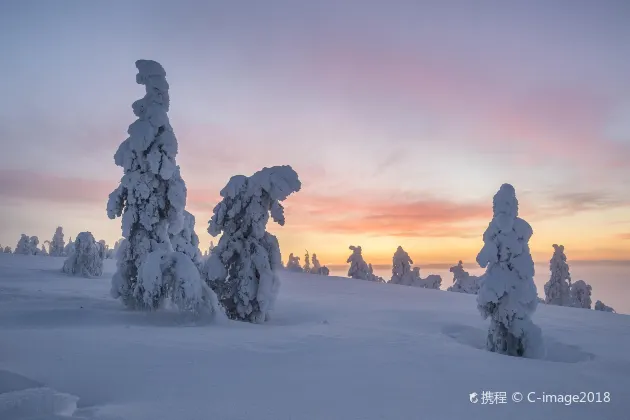 Scandic Rovaniemi City