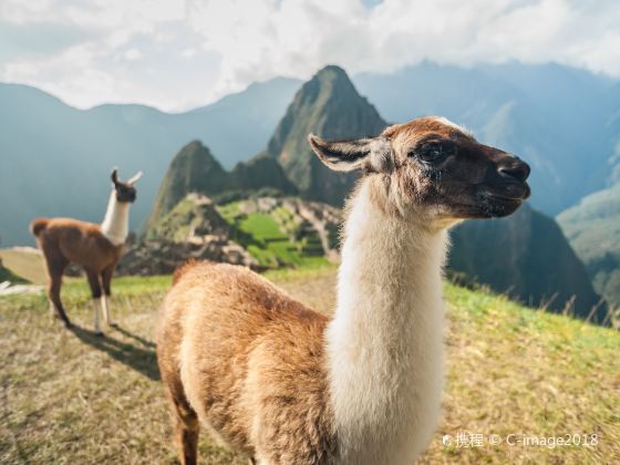 Inca City of Machu Picchu