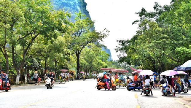 陽朔+灕江風景名勝區+遇龍河+十里畫廊+休閒騎行一日遊【小團/私家團】