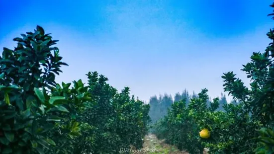 Yuhuan Xuanmen Bay Sightseeing Agriculture Park