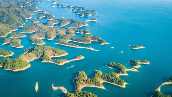 Хуаншань Цинь