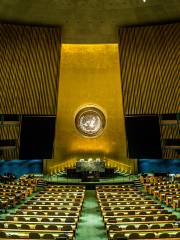 Organizzazione delle Nazioni Unite