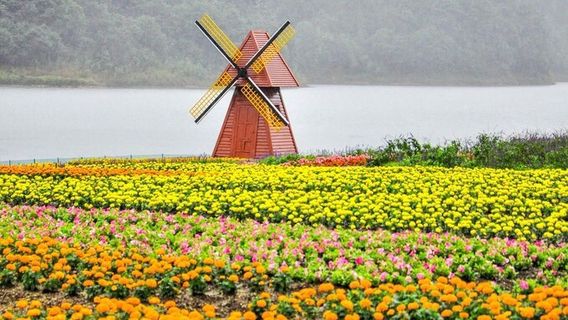 Shimen National Forest Park