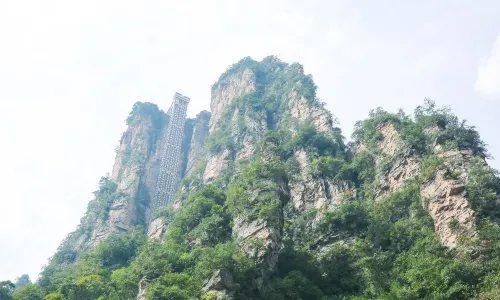 百龍天梯