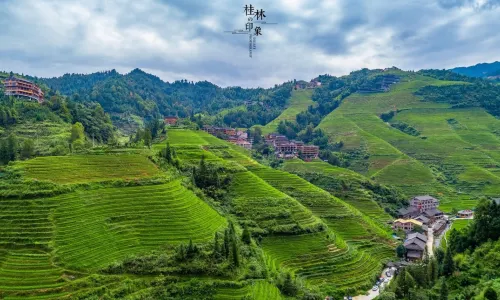 Terraced Field Sightseeing in Longsheng