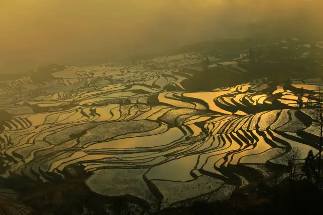 Sunrise Sightseeing in Yuanyang