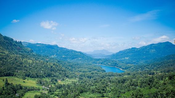 Distrik Nuwara Eliya