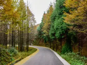 Shanwangping Karst National Ecological Park
