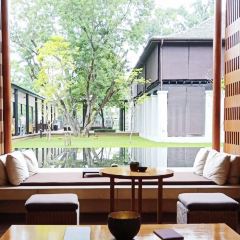 BODHI TERRACE張用戶圖片