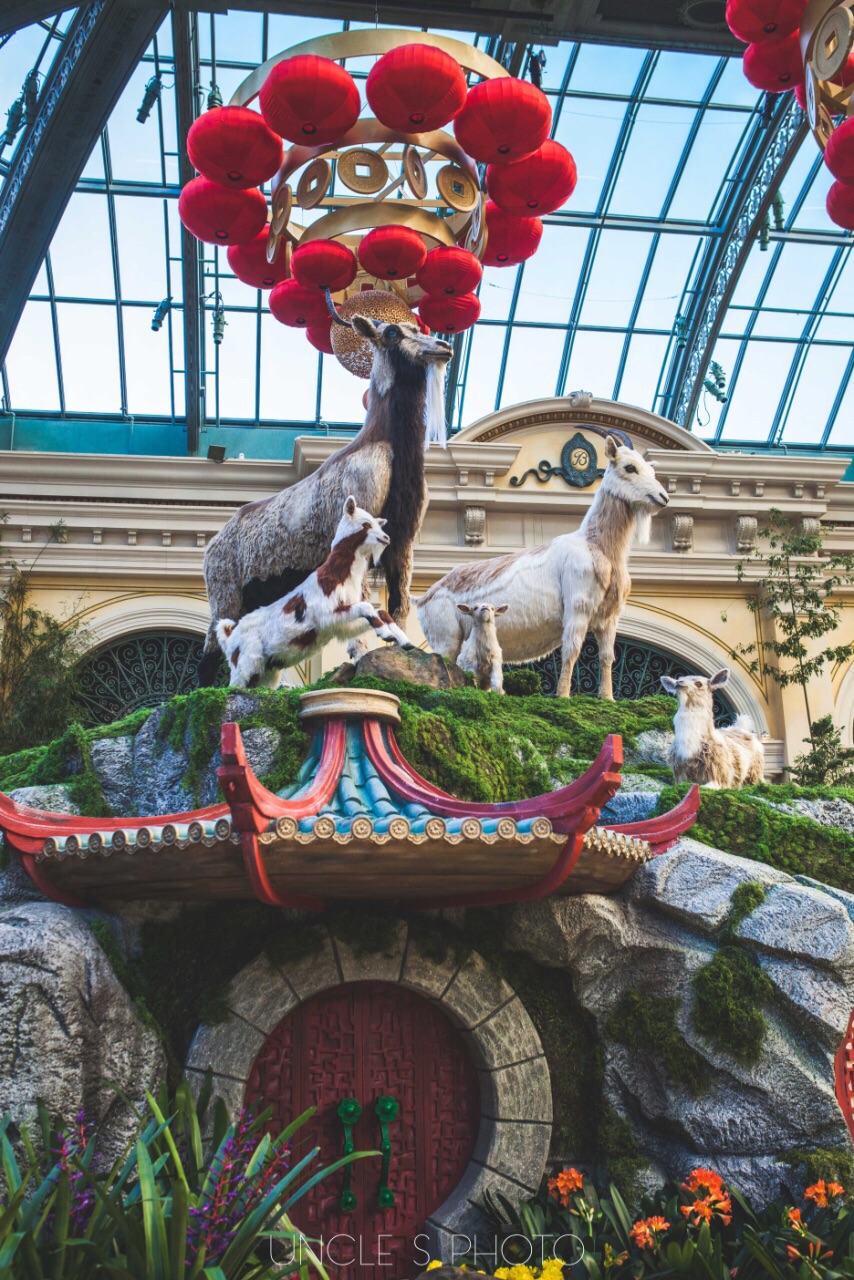 Year of the Goat Las Vegas at Bellagio Hotel - VegasGreatAttractions