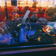 Burger & Lobster Soho User Photo