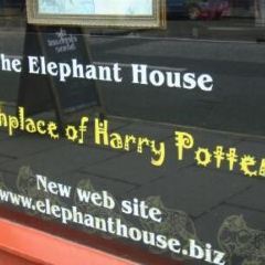 The Elephant House 여행 사진