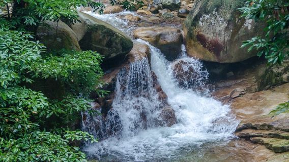 Yeniu Waterfall Valley Scenic Spot