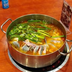 MIAO LING DONG ZHAI SUAN TANG YU CHENG User Photo