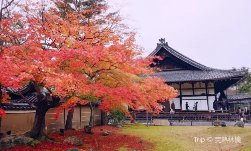 Kōdai-ji Temple