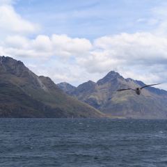 Stratosfare Restaurant & Bar User Photo