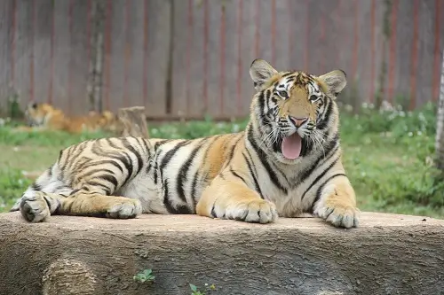 平南雄森動物大世界