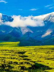 The Qilian Mountain Scenic Area