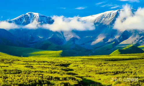 Qilian Mountain Scenic Spot