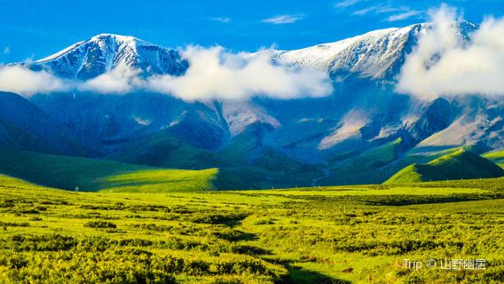 Qilian Mountain Scenic Spot
