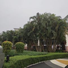 博鼇亞洲論壇大酒店怡景西餐廳張用戶圖片