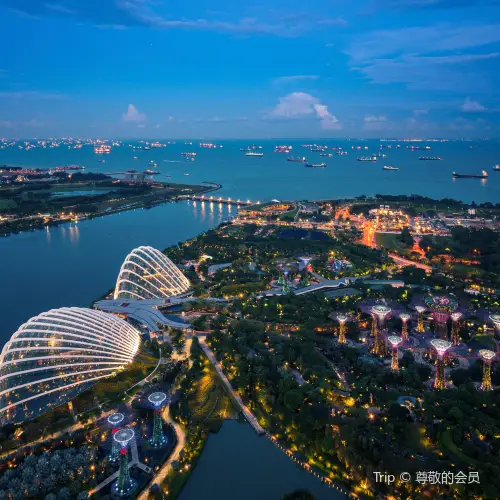 Sands SkyPark