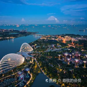 Sands SkyPark