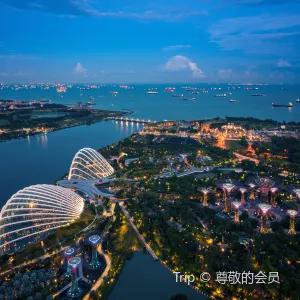 Sands SkyPark