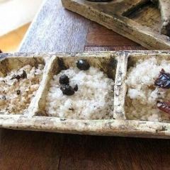 Pitiona User Photo