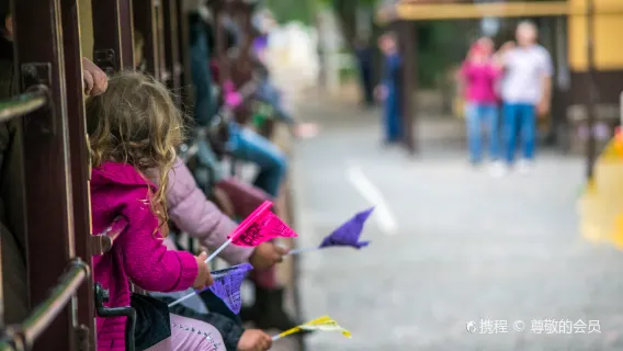 Melbourne Puffing Billy Steam Train + Phillip Island one-day tour[Focus on boutique small group]