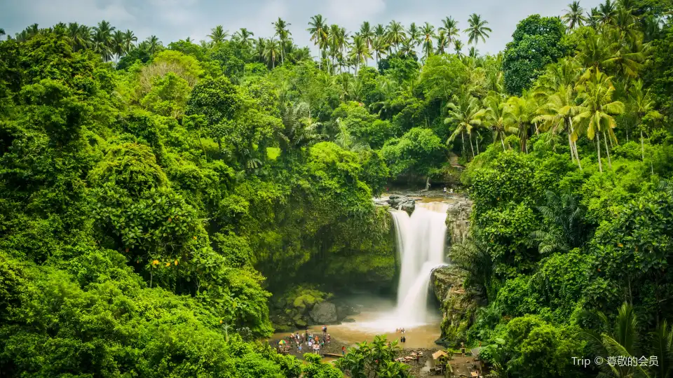 4_Ubud