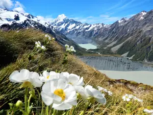 Aoraki/Mount Cook National Park