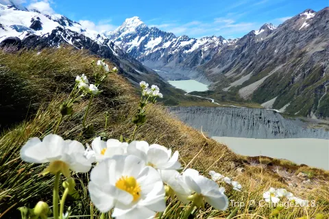 Mount-Cook-Nationalpark