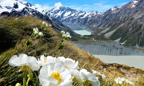 Aoraki/Mount Cook National Park
