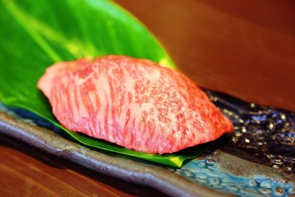 Nouenrobatashimabutaya