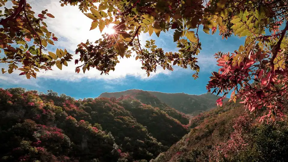 2_Daxiongshan Zhaixinglou Sceneic Area