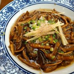 Song helou User Photo