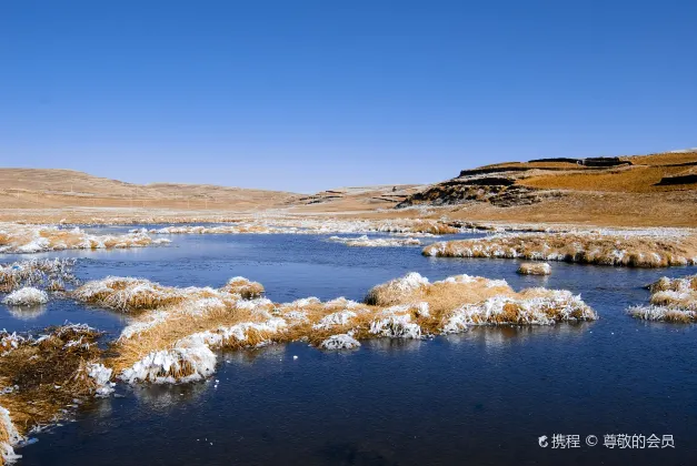 Flug Christchurch Zhaotong